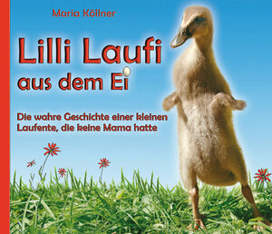 Buchcover Lilli Laufi aus dem Ei | Maria Köllner | EAN 9783000281068 | ISBN 3-00-028106-1 | ISBN 978-3-00-028106-8