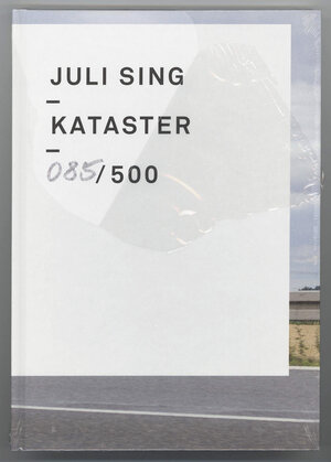 Buchcover Kataster | Juli Sing | EAN 9783000410956 | ISBN 3-00-041095-3 | ISBN 978-3-00-041095-6