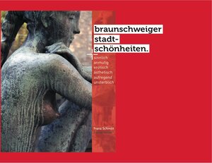 Buchcover braunschweiger stadtschönheiten | Franz Schmitt | EAN 9783000476945 | ISBN 3-00-047694-6 | ISBN 978-3-00-047694-5