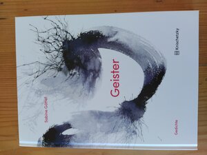 Buchcover Geister | Sabine Göttel | EAN 9783000745522 | ISBN 3-00-074552-1 | ISBN 978-3-00-074552-2