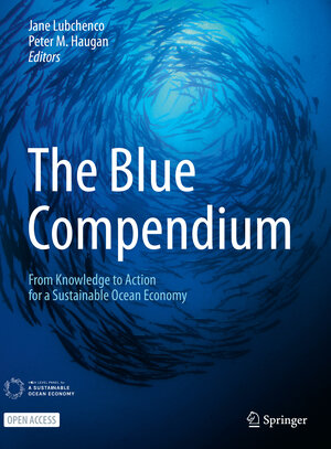 Buchcover The Blue Compendium  | EAN 9783031162763 | ISBN 3-031-16276-5 | ISBN 978-3-031-16276-3