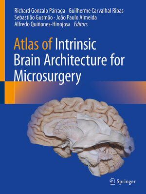 Buchcover Atlas of Intrinsic Brain Architecture for Microsurgery | EAN 9783031951190 | ISBN 3-031-95119-0 | ISBN 978-3-031-95119-0