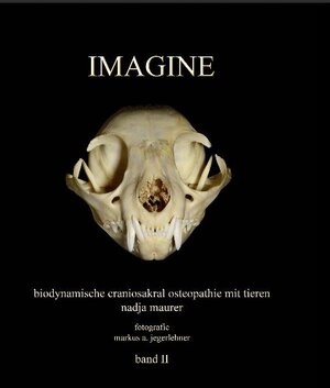 Buchcover IMAGINE band 2 | Nadja Maurer | EAN 9783033052918 | ISBN 3-033-05291-6 | ISBN 978-3-033-05291-8