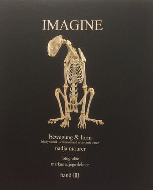 Buchcover IMAGINE band 3 | Nadja Maurer | EAN 9783033060951 | ISBN 3-033-06095-1 | ISBN 978-3-033-06095-1