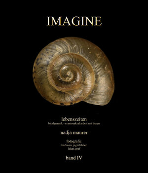 Buchcover IMAGINE band 4 | Nadja Maurer | EAN 9783033067004 | ISBN 3-033-06700-X | ISBN 978-3-033-06700-4