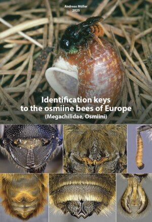 Buchcover Identification keys to the osmiine bees of Europe (Megachilidae, Osmiini) | Andreas Müller | EAN 9783033111707 | ISBN 3-033-11170-X | ISBN 978-3-033-11170-7
