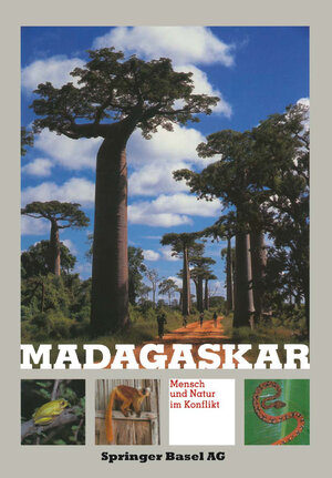 Buchcover Madagaskar | BITTNER | EAN 9783034864084 | ISBN 3-0348-6408-6 | ISBN 978-3-0348-6408-4