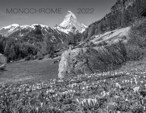 Buchcover Monochrome 2022  | EAN 9783036201801 | ISBN 3-0362-0180-7 | ISBN 978-3-0362-0180-1