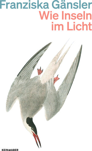 Buchcover Wie Inseln im Licht | Franziska Gänsler | EAN 9783036962030 | ISBN 3-0369-6203-4 | ISBN 978-3-0369-6203-0