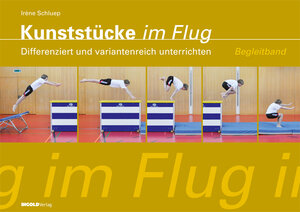 Buchcover Kunststücke im Flug - Begleitband | Irène Schluep | EAN 9783037002476 | ISBN 3-03700-247-6 | ISBN 978-3-03700-247-6