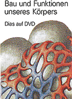 Buchcover Bau und Funktionen unseres Körpers / Bau und Funktionen unseres Körpers, Dias auf DVD | Paul Walder | EAN 9783037134313 | ISBN 3-03713-431-3 | ISBN 978-3-03713-431-3