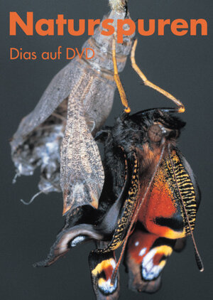 Buchcover Naturspuren / Dias auf DVD | Arthur Jetzer | EAN 9783037134337 | ISBN 3-03713-433-X | ISBN 978-3-03713-433-7
