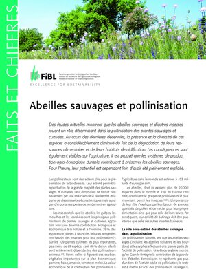 Buchcover Abeilles sauvages et pollinisation | Lukas Pfiffner | EAN 9783037362952 | ISBN 3-03736-295-2 | ISBN 978-3-03736-295-2