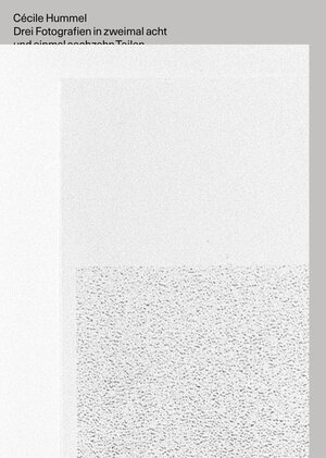 Buchcover Drei Fotografien in zwei mal acht und einmal sechzehn Teilen | Cécile Hummel | EAN 9783037461860 | ISBN 3-03746-186-1 | ISBN 978-3-03746-186-0
