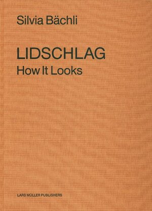 Buchcover Lidschlag | Silvia Bächli | EAN 9783037780138 | ISBN 3-03778-013-4 | ISBN 978-3-03778-013-8