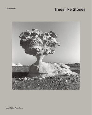 Buchcover Bäume wie Steine | Klaus Merkel | EAN 9783037782637 | ISBN 3-03778-263-3 | ISBN 978-3-03778-263-7