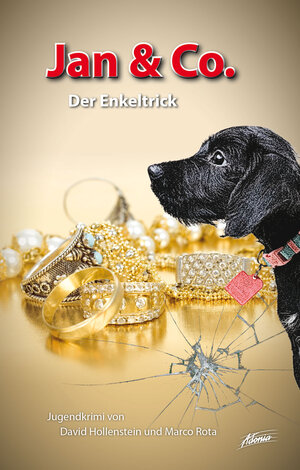 Buchcover Jan & Co. – Der Enkeltrick | David Hollenstein | EAN 9783037832097 | ISBN 3-03783-209-6 | ISBN 978-3-03783-209-7