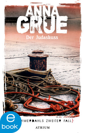 Buchcover Der Judaskuss | Anna Grue | EAN 9783037920411 | ISBN 3-03792-041-6 | ISBN 978-3-03792-041-1
