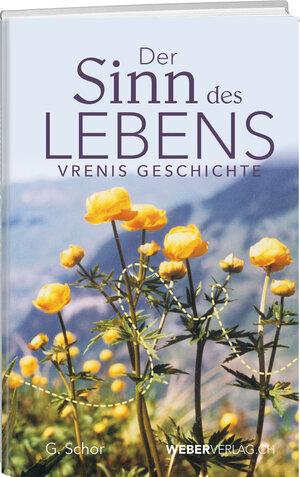 Buchcover Der Sinn des Lebens | G. Schor | EAN 9783038182498 | ISBN 3-03818-249-4 | ISBN 978-3-03818-249-8