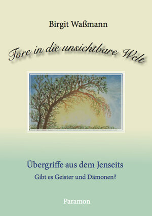 Buchcover Tore in die unsichtbare Welt (Band 1) | Birgit Waßmann | EAN 9783038302803 | ISBN 3-03830-280-5 | ISBN 978-3-03830-280-3