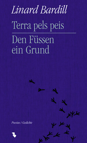 Buchcover Terra pels peis - Den Füssen ein Grund | Linard Bardill | EAN 9783038450849 | ISBN 3-03845-084-7 | ISBN 978-3-03845-084-9