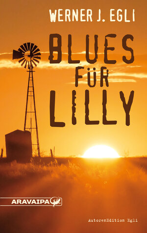 Buchcover Blues für Lilly | Werner J. Egli | EAN 9783038640165 | ISBN 3-03864-016-6 | ISBN 978-3-03864-016-5