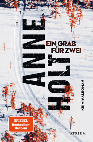 Buchcover Ein Grab für zwei | Anne Holt | EAN 9783038820291 | ISBN 3-03882-029-6 | ISBN 978-3-03882-029-1