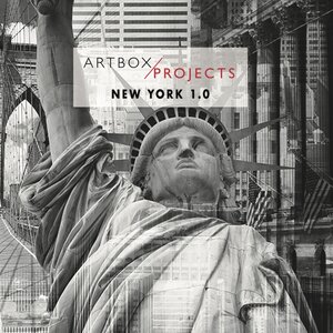 Buchcover Taesook Jung ARTBOX.PROJECT New York 1.0  | EAN 9783038990093 | ISBN 3-03899-009-4 | ISBN 978-3-03899-009-3