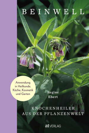 Buchcover Beinwell - eBook | Regine Ebert | EAN 9783039021420 | ISBN 3-03902-142-7 | ISBN 978-3-03902-142-0