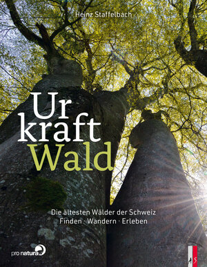 Buchcover Urkraft Wald | Heinz Staffelbach | EAN 9783039130382 | ISBN 3-03913-038-2 | ISBN 978-3-03913-038-2