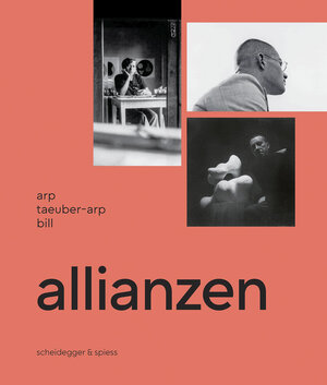 Buchcover Allianzen  | EAN 9783039421657 | ISBN 3-03942-165-4 | ISBN 978-3-03942-165-7