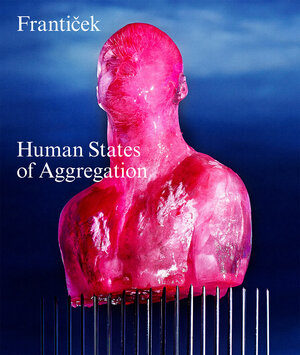 Buchcover Frantiček—Human States of Aggregation  | EAN 9783039422647 | ISBN 3-03942-264-2 | ISBN 978-3-03942-264-7