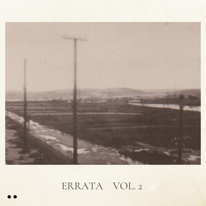 Buchcover Errata Vol. 2 | Daniele Pantano | EAN 9783039472130 | ISBN 3-03947-213-5 | ISBN 978-3-03947-213-0