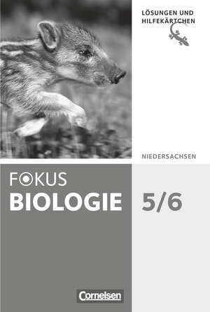 Buchcover Fokus Biologie - Neubearbeitung - Gymnasium Niedersachsen G9 - 5./6. Schuljahr | Julia Budde | EAN 9783060136261 | ISBN 3-06-013626-2 | ISBN 978-3-06-013626-1