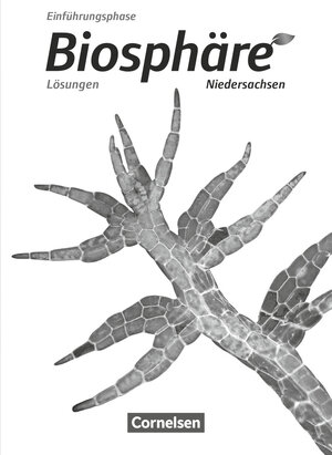 Buchcover Biosphäre Sekundarstufe II - Niedersachsen - Einführungsphase | Anke Meisert | EAN 9783060157792 | ISBN 3-06-015779-0 | ISBN 978-3-06-015779-2