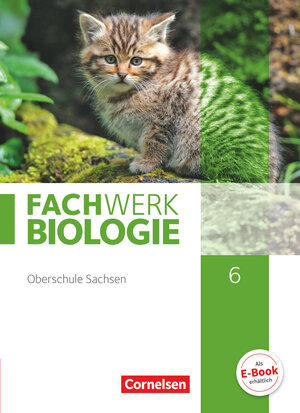 Buchcover Fachwerk Biologie - Sachsen - 6. Schuljahr | Udo Hampl | EAN 9783060158911 | ISBN 3-06-015891-6 | ISBN 978-3-06-015891-1