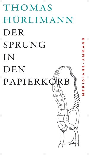 Buchcover Der Sprung in den Papierkorb | Thomas Hürlimann | EAN 9783100319197 | ISBN 3-10-031919-2 | ISBN 978-3-10-031919-7