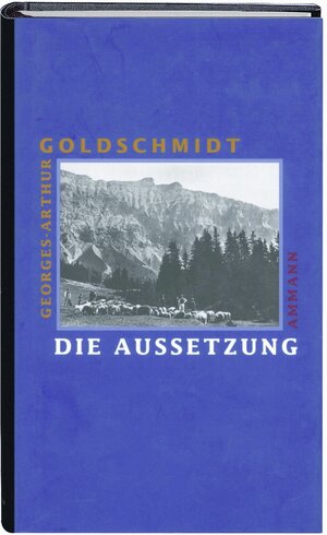 Buchcover Die Aussetzung | Georges-Arthur Goldschmidt | EAN 9783100344328 | ISBN 3-10-034432-4 | ISBN 978-3-10-034432-8