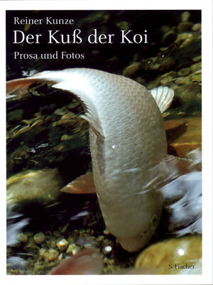 Buchcover Der Kuß der Koi | Reiner Kunze | EAN 9783100420213 | ISBN 3-10-042021-7 | ISBN 978-3-10-042021-3