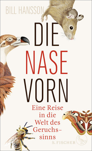 Buchcover Die Nase vorn | Bill Hansson | EAN 9783103970630 | ISBN 3-10-397063-3 | ISBN 978-3-10-397063-0