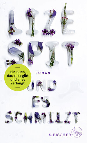 Buchcover Und es schmilzt | Lize Spit | EAN 9783103972825 | ISBN 3-10-397282-2 | ISBN 978-3-10-397282-5