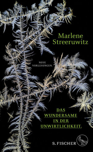 Buchcover Das Wundersame in der Unwirtlichkeit. | Marlene Streeruwitz | EAN 9783103973334 | ISBN 3-10-397333-0 | ISBN 978-3-10-397333-4