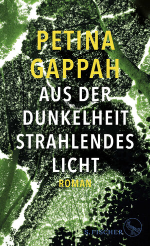 Buchcover Aus der Dunkelheit strahlendes Licht | Petina Gappah | EAN 9783103974492 | ISBN 3-10-397449-3 | ISBN 978-3-10-397449-2