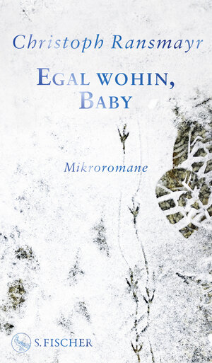 Buchcover Egal wohin, Baby | Christoph Ransmayr | EAN 9783103976618 | ISBN 3-10-397661-5 | ISBN 978-3-10-397661-8