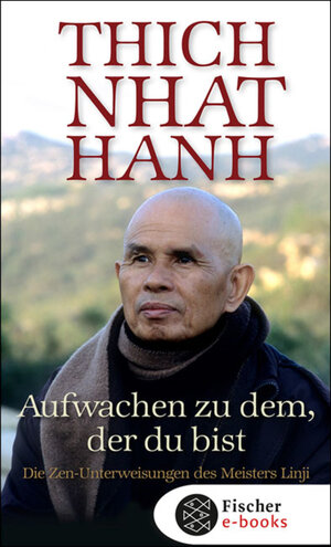 Buchcover Aufwachen zu dem, der du bist | Thich Thich Nhat Hanh | EAN 9783104002545 | ISBN 3-10-400254-1 | ISBN 978-3-10-400254-5