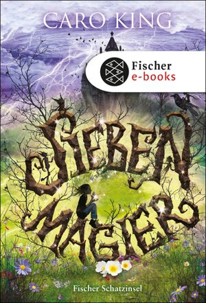Buchcover Sieben Magier | Caro King | EAN 9783104010526 | ISBN 3-10-401052-8 | ISBN 978-3-10-401052-6
