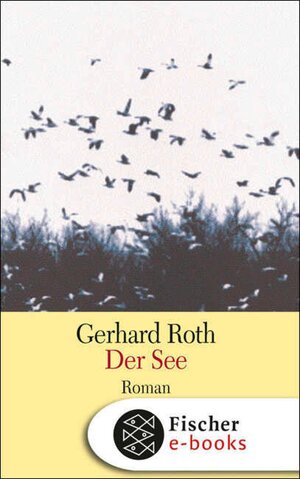 Buchcover Der See | Gerhard Roth | EAN 9783104013190 | ISBN 3-10-401319-5 | ISBN 978-3-10-401319-0