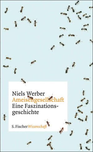 Buchcover Ameisengesellschaften | Niels Werber | EAN 9783104013787 | ISBN 3-10-401378-0 | ISBN 978-3-10-401378-7
