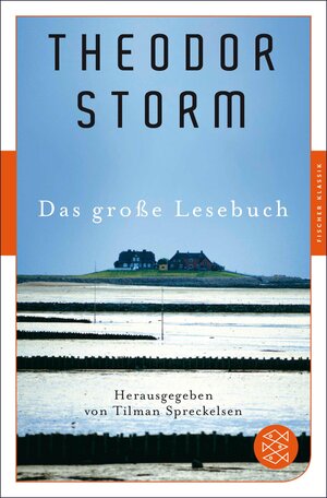 Buchcover Das große Lesebuch | Theodor Storm | EAN 9783104036519 | ISBN 3-10-403651-9 | ISBN 978-3-10-403651-9