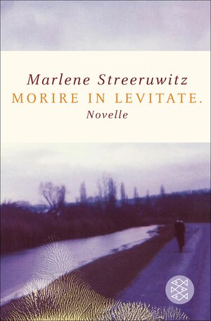 Buchcover morire in levitate. | Marlene Streeruwitz | EAN 9783104901299 | ISBN 3-10-490129-5 | ISBN 978-3-10-490129-9